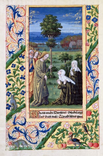 Ms Lat. Q.v.I.126 f.69v Martha und Maria erzählen Jesus vom Tod des Lazarus, aus dem 